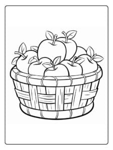 Apple Basket Illustration Apples Coloring Pages