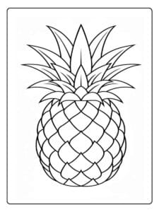 Pineapple coloring page detailed pineapple fruit outline