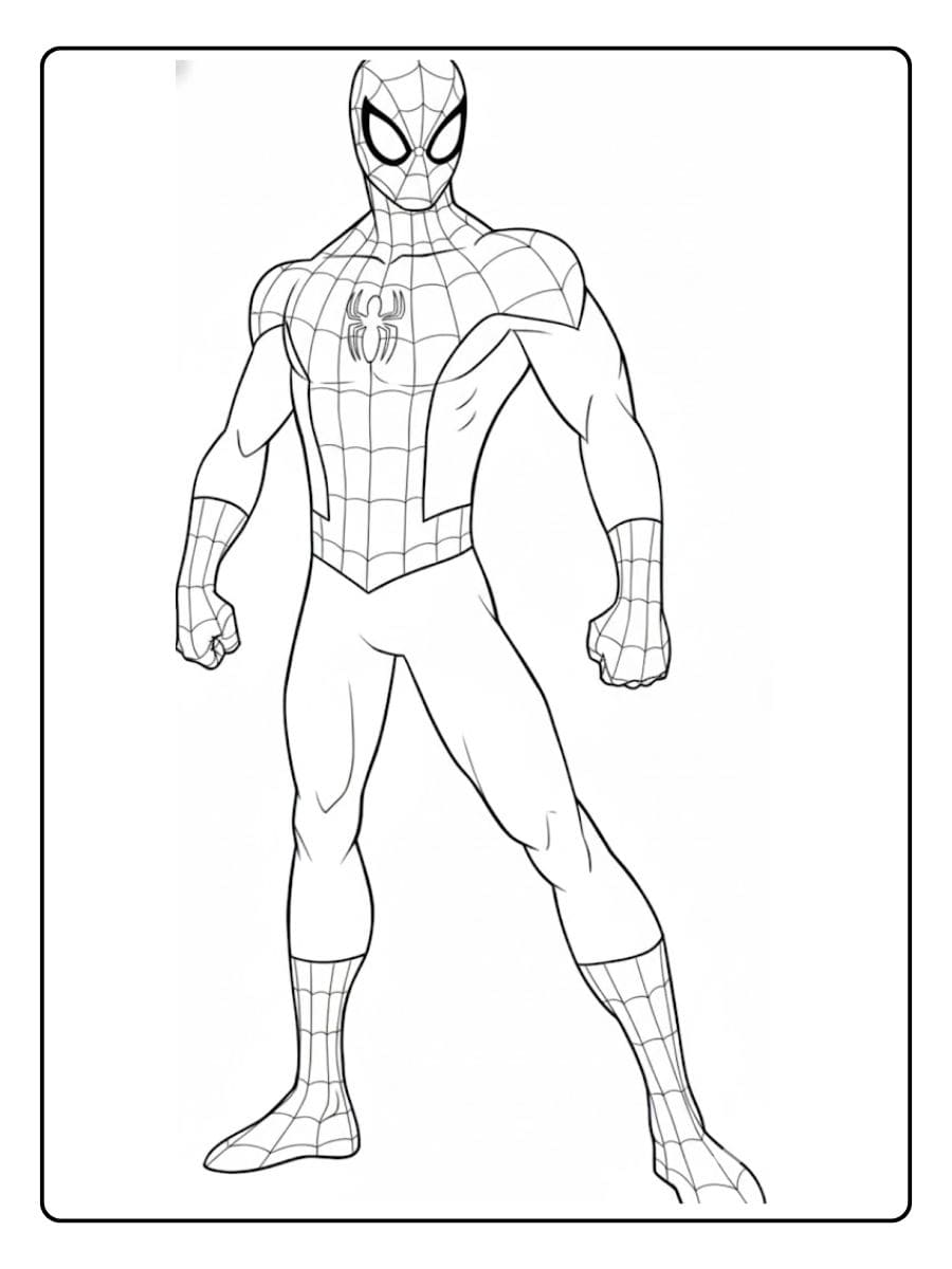 Simple line art drawing of Spider Man for kids coloring pages