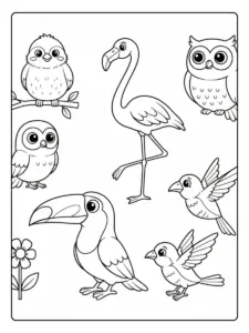 Bird Coloring Pages – Bird Cartoon Collection