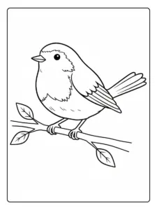 Bird Coloring Pages – Bird Coloring Sheet