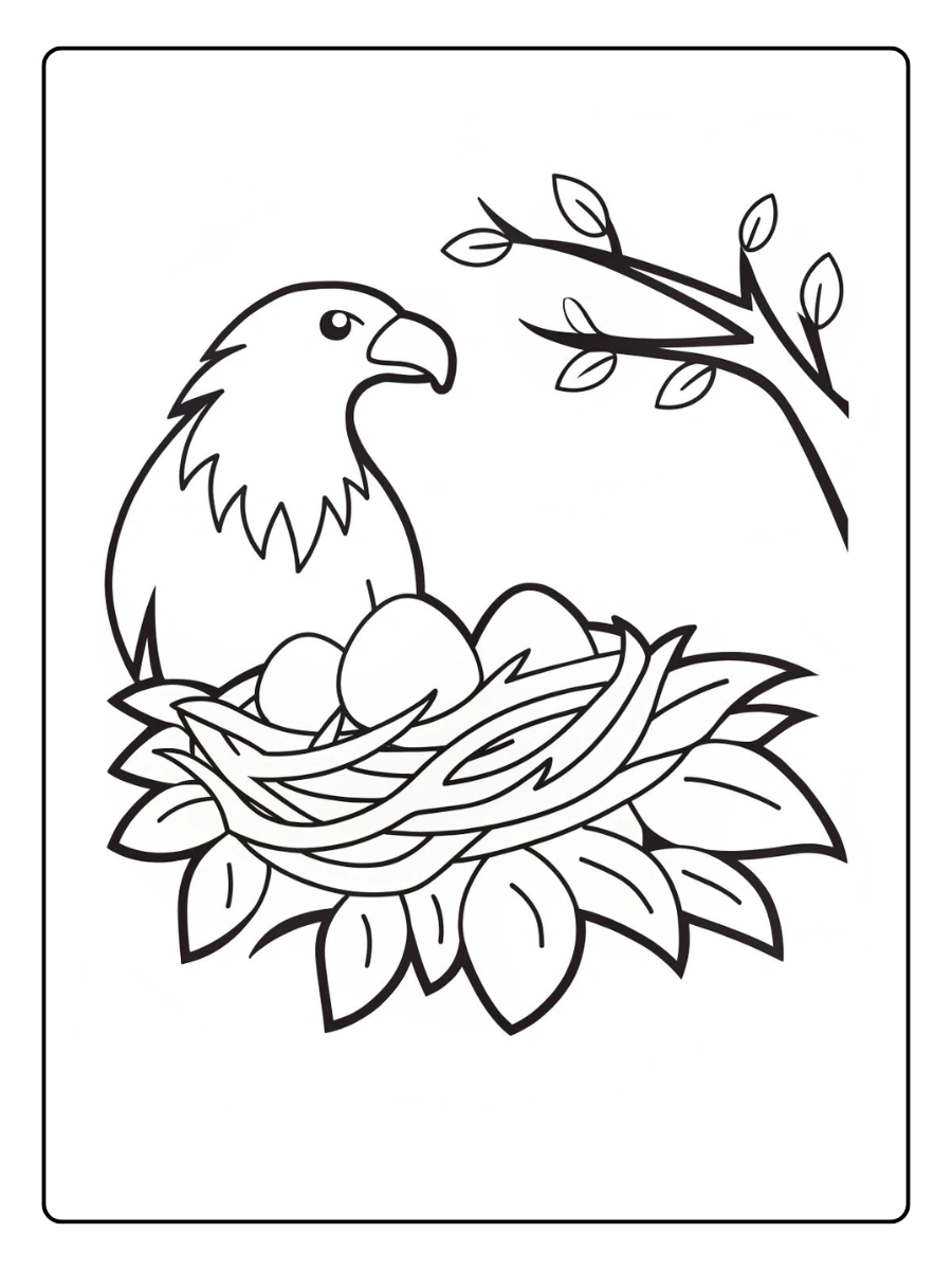 eagles coloring pages (12)