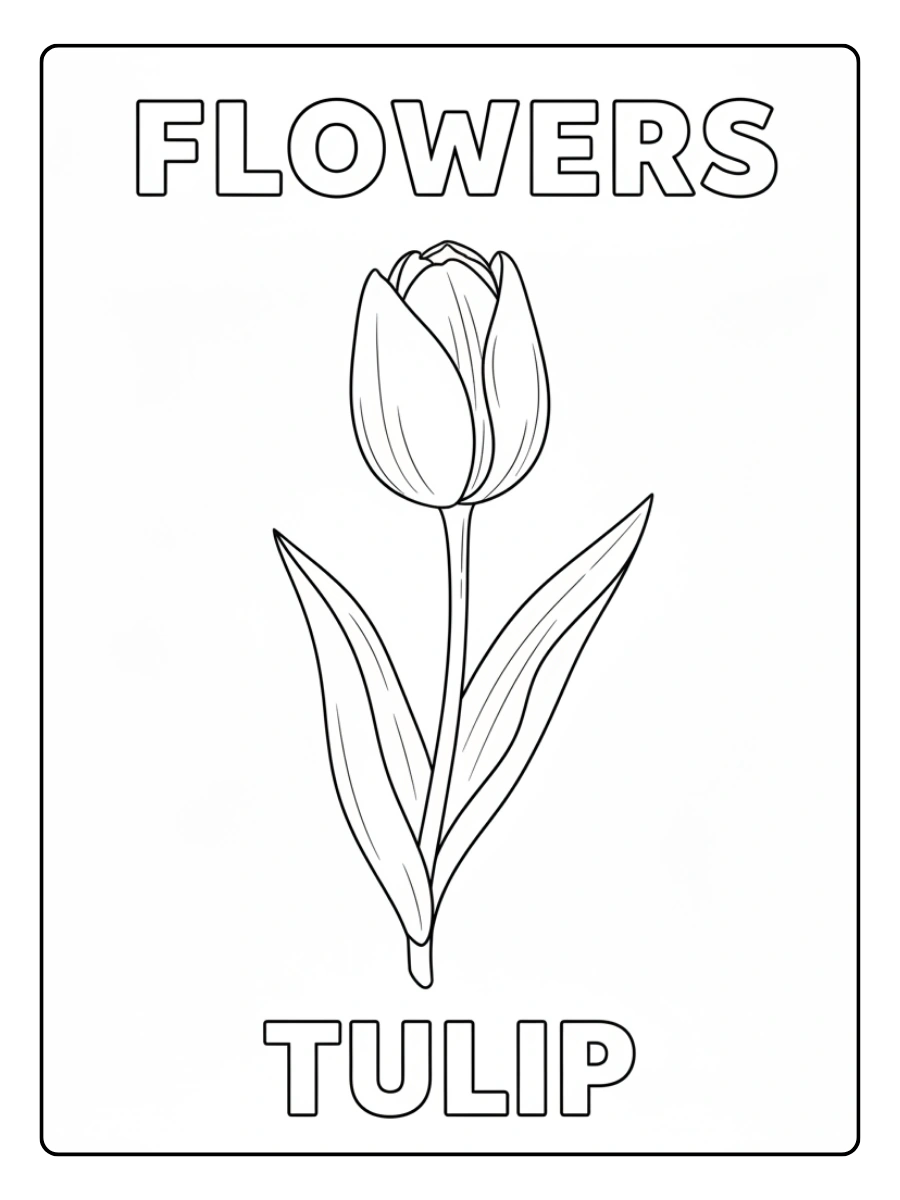 Flowers Coloring Pages – Tulip
